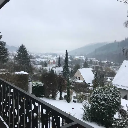 Apartment Ferienwohnung Schwarzwaldblick Am *